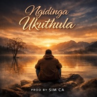 Ngidinga Ukuthula - EP - Sim Ca & Crow Maribye