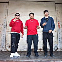 Wells - Single - Wsqbdfwy