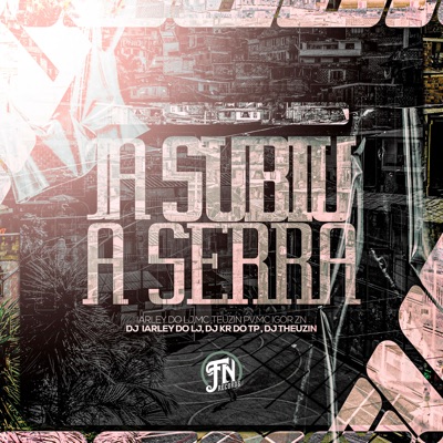 Já Subiu a Serra (feat. Dj Theuzin & DJ KR DO TP) - Single