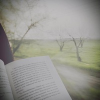 reality - Single - cip