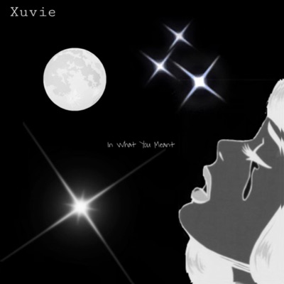 In What You Meant (feat. Serenity Ramirez & Viceroy) - Single