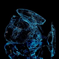 Off the Leash (feat. Fifi Rong) - Single - Squashed Out