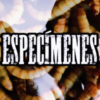 Especímenes - Single - Jokahpacheco