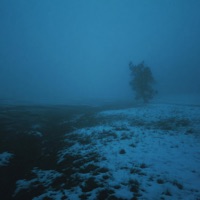 hollow nights - Single - nleave & WINTERCAT