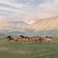 Ride On - Single - Titus Haskins