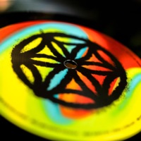 Quake - Single - Kyle Hall