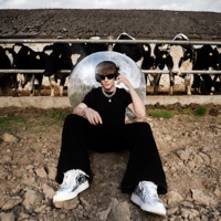 parkiet - Single - Pik Pik