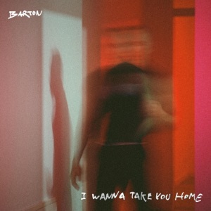 I Wanna Take You Home - Single