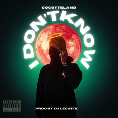 I Don't Know (feat. Cocotteland) - Single