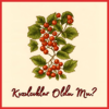 Anatolian Rock House - Kızılcıklar Oldu Mu? artwork