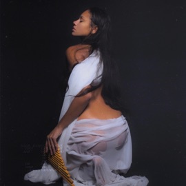 The Goods (feat. ThaHomey) Fae Sapienta