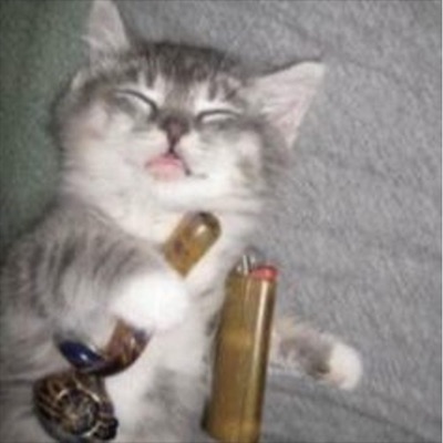 pop culture - Single