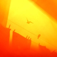 我选择奔向自由 - Single - JSore