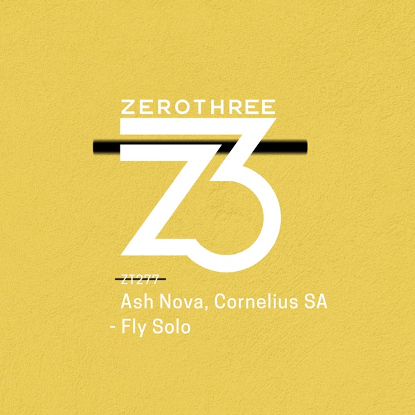 Fly Solo - Single