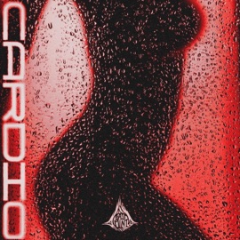 Cardio (feat. Claudia Cherii, Boregard., Cornelius Chandler, Black°Adam, Jtthedreamer & Starpav) Bassmint Fresh