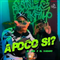 A poco si? (feat. El Habano) - Single - El Jam