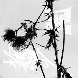 Абстракт-абсурд - Single
