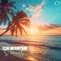 Secrets (Extended Mix)