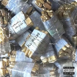 All My Life (feat. WavYoda) Spaceboy312