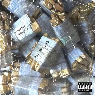 All My Life (feat. WavYoda) - Single