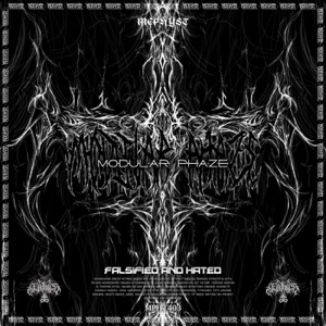 Falsified And Hated - Single