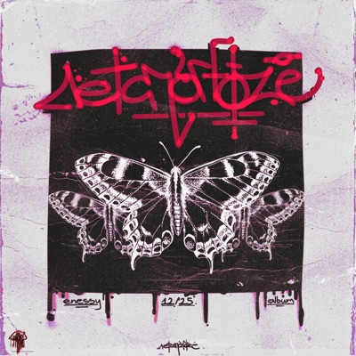 NEŠIUOLAIKINIS (feat. Kajuze) - Single