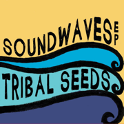 SoundWaves EP - EP - Tribal Seeds