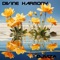 Ranquil Reflections - DJViza lyrics