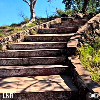 Paso Por Paso - Single