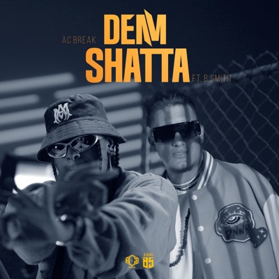 Dem Shatta - Single