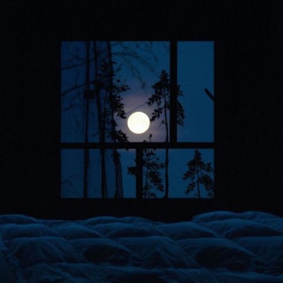 Window Opened - Single