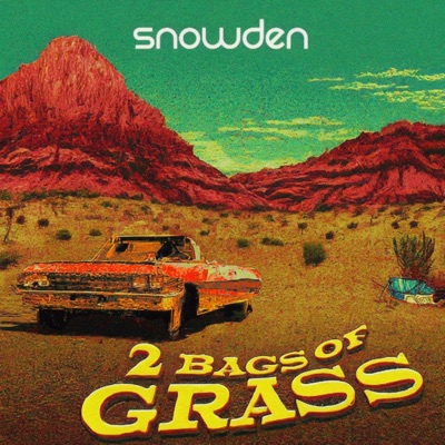 2 Bags of Grass - Single