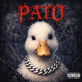Pato saint flako