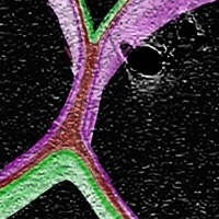 Need4xaos - Single - Kasatka GX