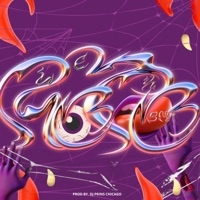 Roto (feat. Dj Prins Chicago) - Single - Lex Bm