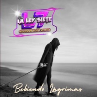 Bebiendo Lágrimas - Single - Grupo la Ley7 de Enrike Fortunato