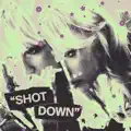 Shot Down