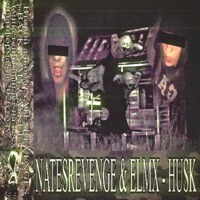 HUSK (feat. elmx) - Single - NATESREVENGE