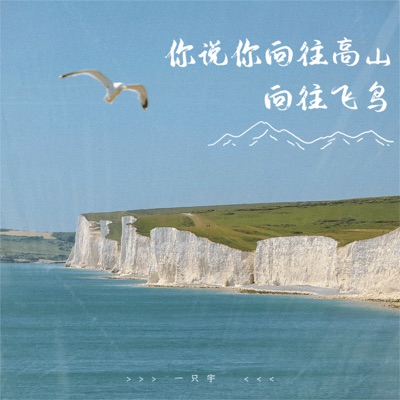 你说你向往高山 向往飞鸟 - Single