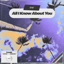 All I Know About You BAF