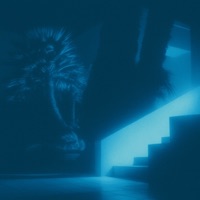 All In Or Nothing - Single - Asect