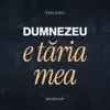 Dumnezeu e taria mea