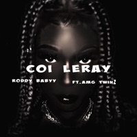 Coi leray (feat. Amg twinz) - Single - Rodyy Babyy