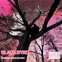 Shoegaze for Black Kids - blackbyrd