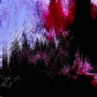 This Forest Is a Mouth - Single - Whispersinyahead