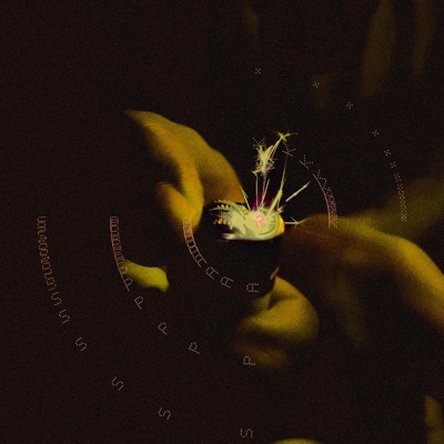 spark* - Single