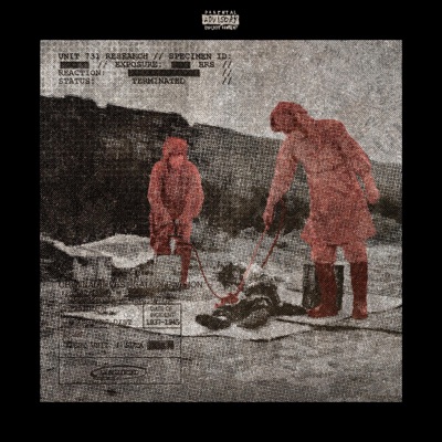 X15 - Single