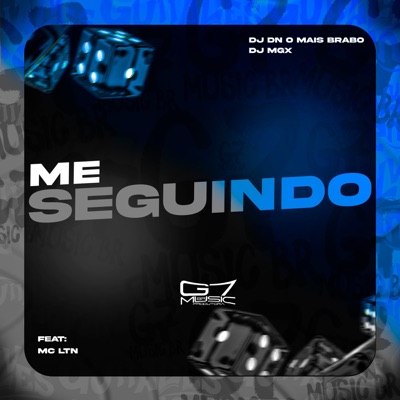 Me Seguindo (feat. MC LTN) - Single