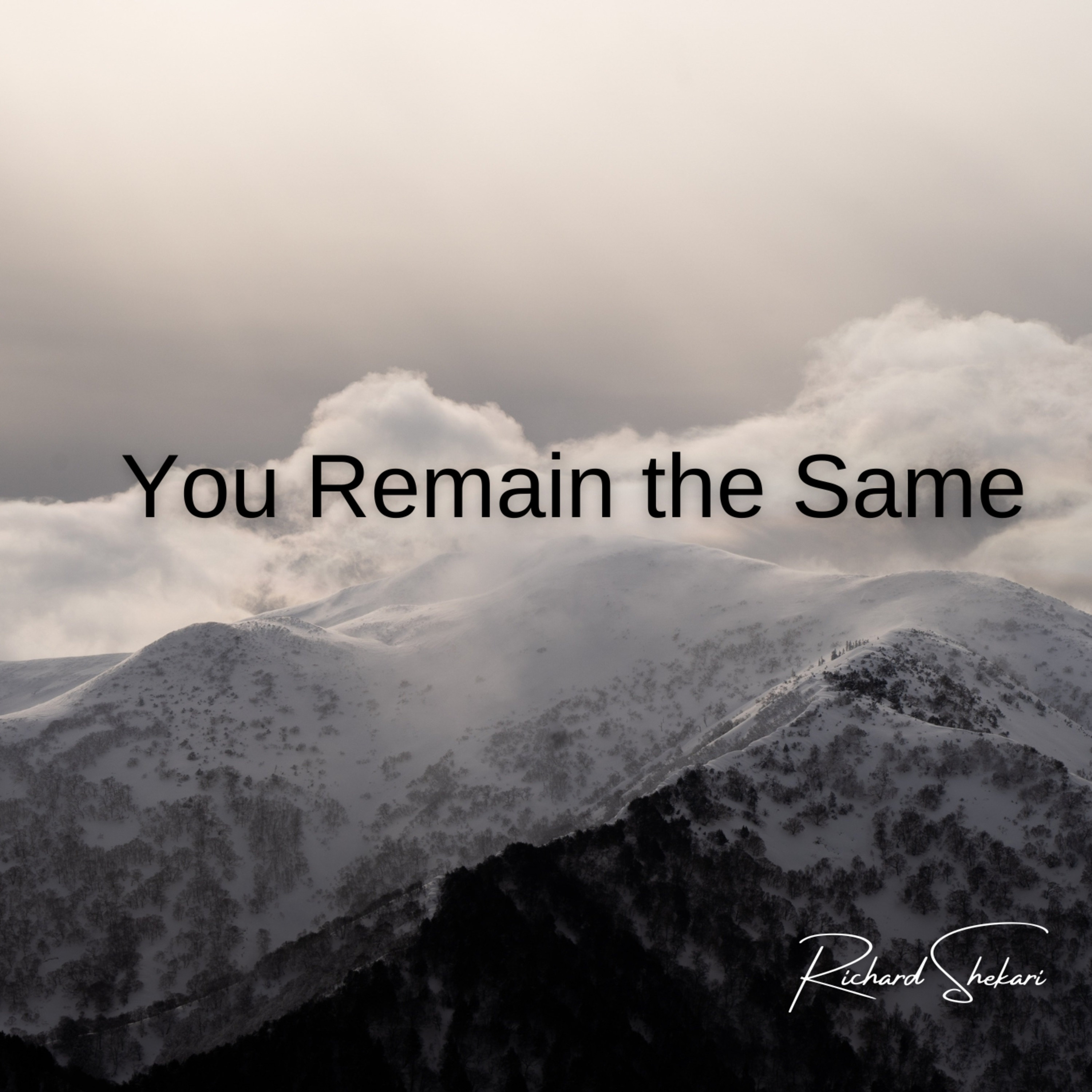You Remain the Same - Single