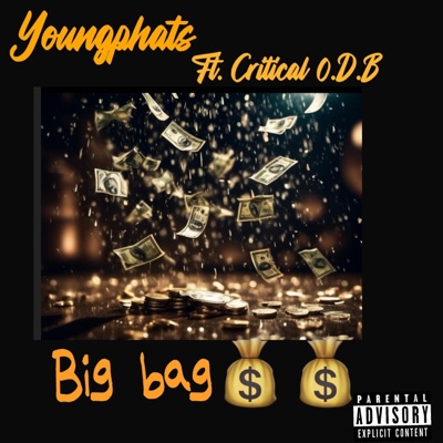 Big bag (feat. Critical O.D.B) - Single